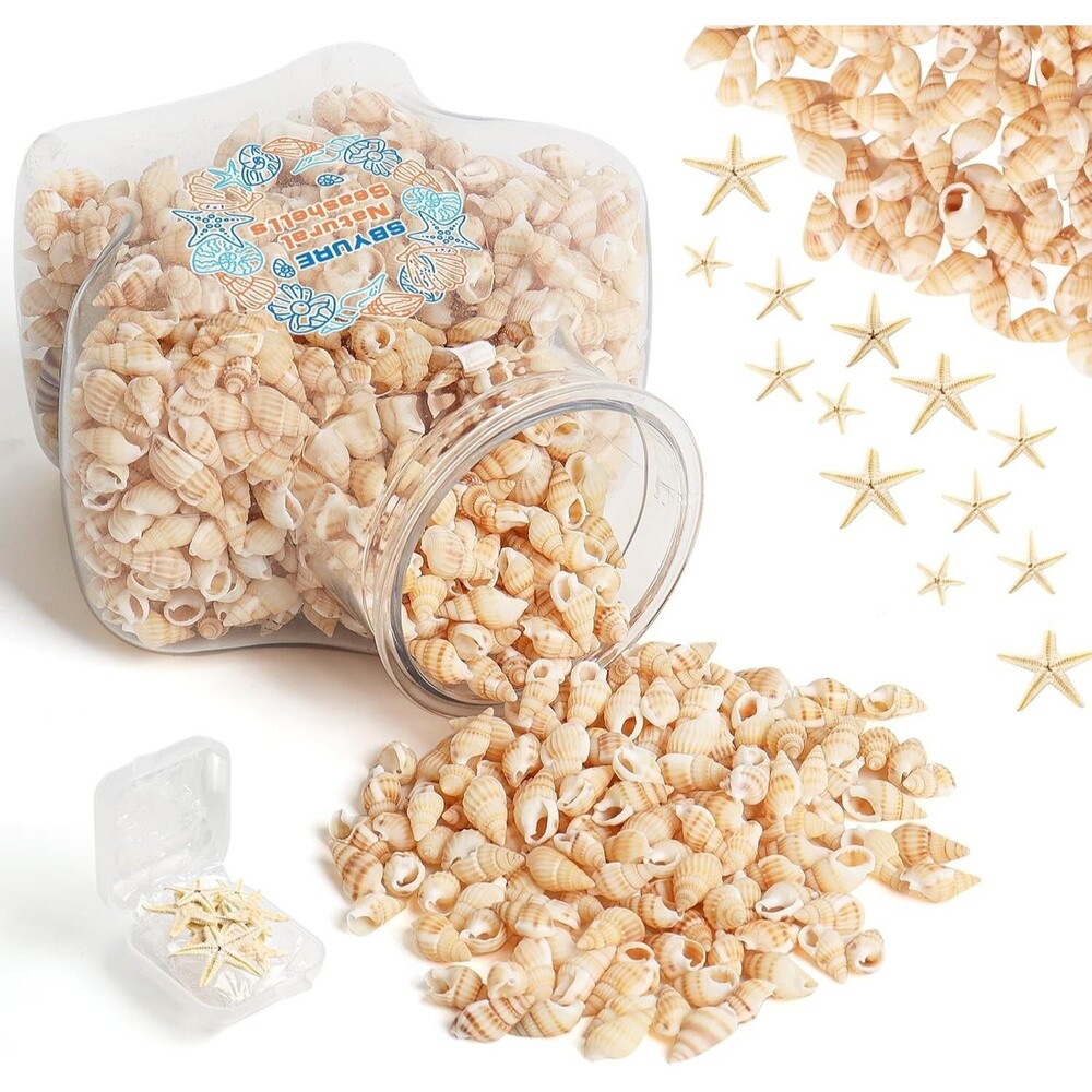 Tiny Sea Shells and Natural Starfish for Crafting Mixed Ocean Beach Mini Seas...
